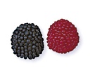Moras GRANDES Rojas y Negras FINI 1kg