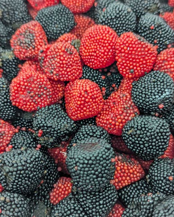 Amoras Rojas y Negras - FINI 1kg granel